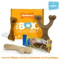 thumbnail image 4 of Nylabone The Box - Chew Toys & Treat Puppy Gift Box Variety Small (4 Count), 4 of 11