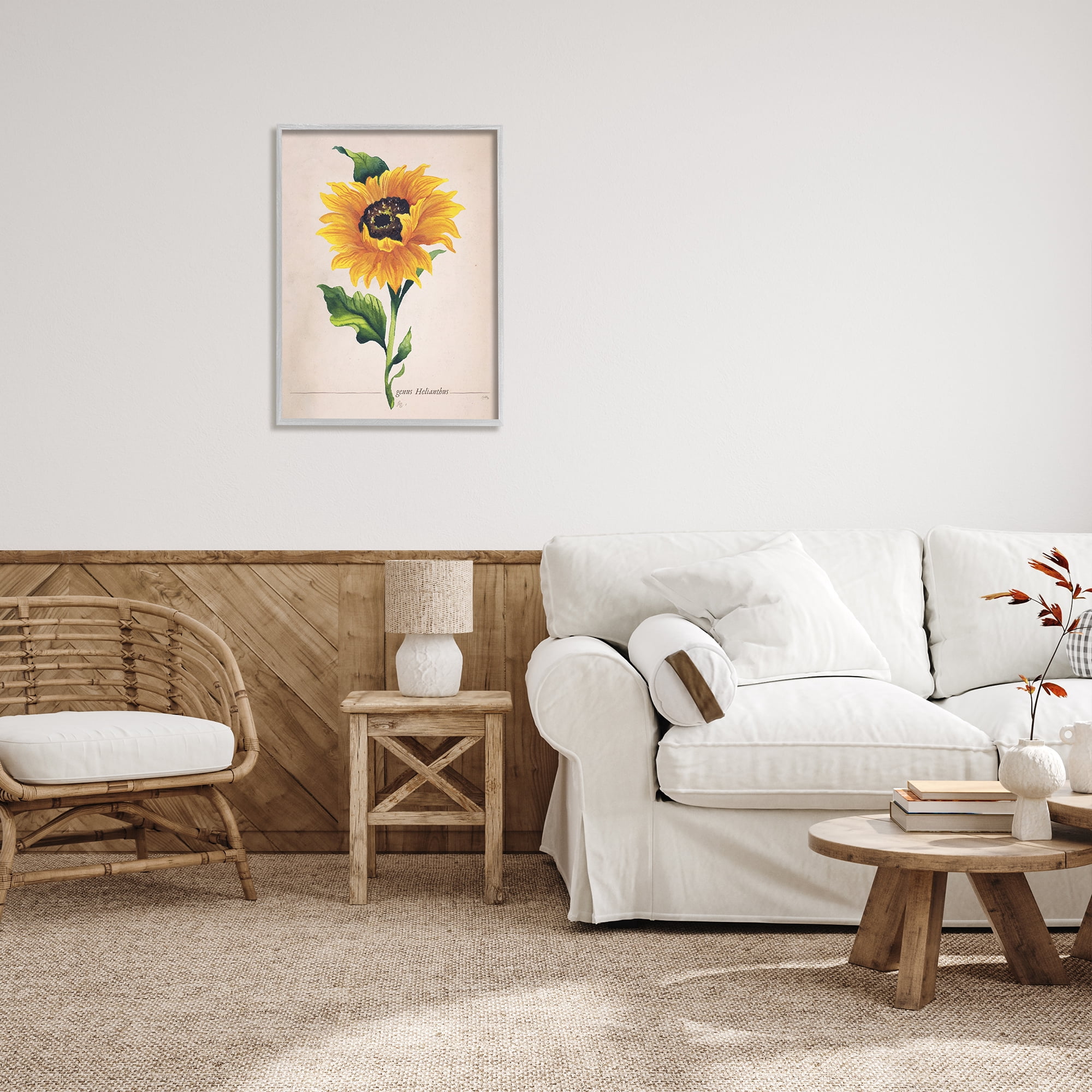 Stupell Industries Single Sunflower Blossom Genus Name Study Page Graphic Art Gray Framed Art Print Wall Art, Design by Elizabeth Medley