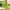 Green, variant on YangJinLian Decorative Knitted Throw Blanket with Fringe Soft & Cozy Tassel Blanket for Couch Sofa Bed 50x72in