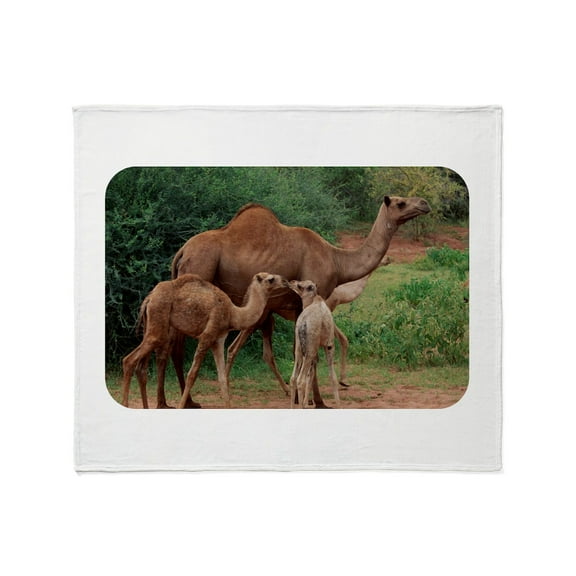 CafePress - Camels Throw Blanket - Soft Fleece Throw Blanket, 50"x60" for All Ages