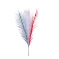 thumbnail image 2 of Independence Day Decorations Fourth Of July Party Decorations Magenta White Blue Simulated FeatherS Decorations, 2 of 6
