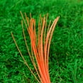 thumbnail image 3 of Replacement Line for Echo 102222952, Nylon Lines for Rapid Loaders, 84 Pieces Precut Round .095 Inches by 8 Inches Length Grass Trimmer Line, 3 of 4