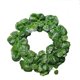 thumbnail image 1 of Guirnalda de hojas de plantas de hiedra de vid colgante de hojas de hiedra falsas de flores artificiales de 90 " UHUSE  Hojas de hiedra artificial, 1 of 8