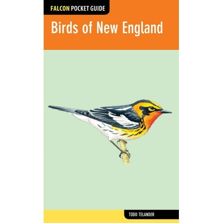 ISBN 9780762783625 product image for Falcon Pocket Guides: Birds of New England (Paperback) | upcitemdb.com