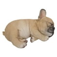 thumbnail image 4 of Chiot Sleeping Pug, 4 of 10