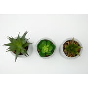 Mainstays 3-Piece Succulent Set in Gray Cement Planters