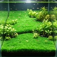 thumbnail image 6 of SLYNSHome Aquarium Grass Artificial Plastic Lawn 15.7x23.6 inch Square Landscape Green Plants for Saltwater Freshwater Tropical Fish Tank Decoration, 6 of 6