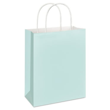 American Greetings 9.75 in. Medium Mint Gift Bag for All Occasions (1-Count)