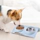 thumbnail image 4 of Stainless Steel Double Cat Bowl, Small Dog Bowl, Double Pet Bowl, Cat Double Bowl-Blue, 4 of 4