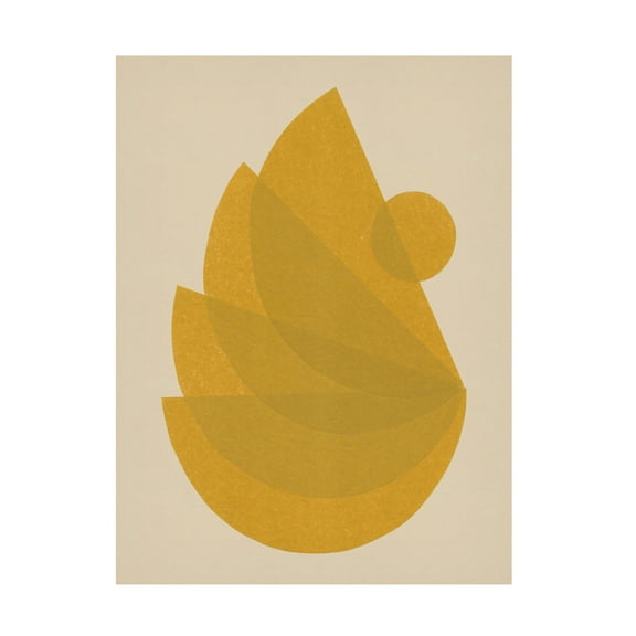 Trademark Fine Art Alisa Galitsyna Balanced Unbalance 1 Canvas Wall Art