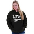 thumbnail image 4 of Low Key Nerd Sarcastic Pun Funny Geek Unisex Plus Fleece Graphic Hoodie Brisco Brands 2X, 4 of 5