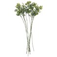thumbnail image 1 of 10 hojas artificiales de eucalipto, púas de eucalipto de imitación, decoración para arreglos florales., 1 of 7