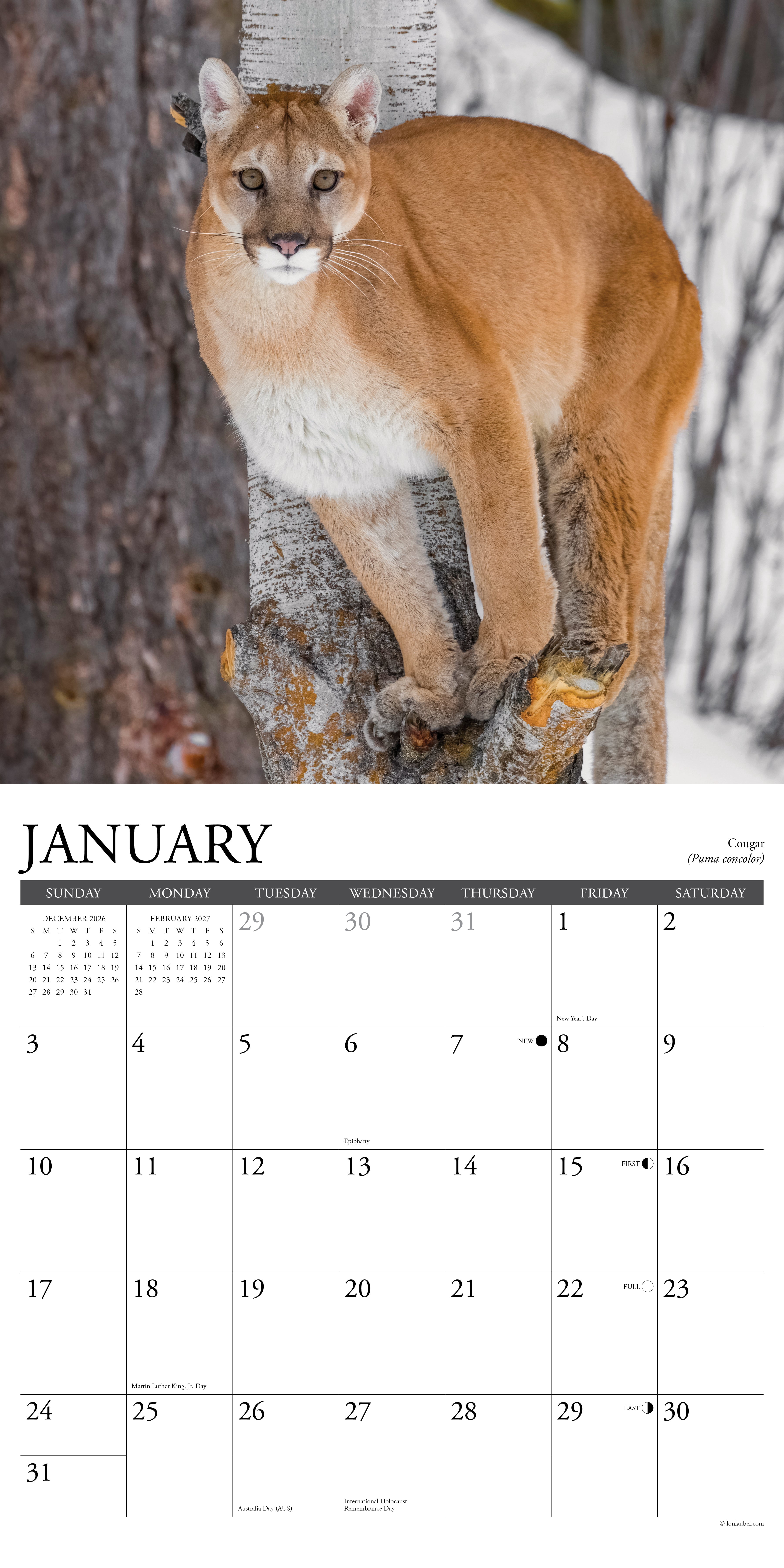 Willow Creek Press, Northwoods Wildlife 2027 Wall Calendar