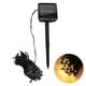 thumbnail image 5 of Guirnaldas de luces LED solares para exteriores, 100 chips de luz, guirnalda de luces decorativa ultralarga para bodas y Navidad, 5 of 8