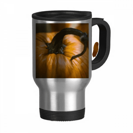 

Fresh Pumpkin Picture Nature Photograph Travel Mug Flip Lid Stainless Steel Cup Car Tumbler Thermos