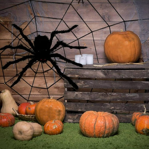 Teissuly 1Pcs Giant Stuffed Spider Toy Huge Realistic Black Spider Stuffed Animal Plush Pillow Halloween Funny Prank Toys (11.8Inch)