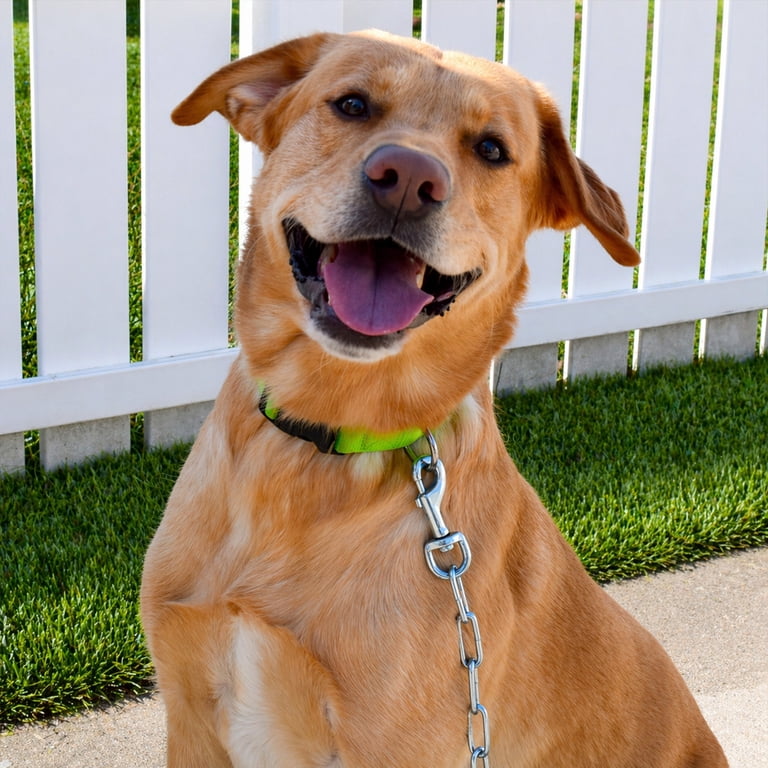 Peerless 20ft Heavy-Duty Dog Tie-Out Chain with Snaps photo 4