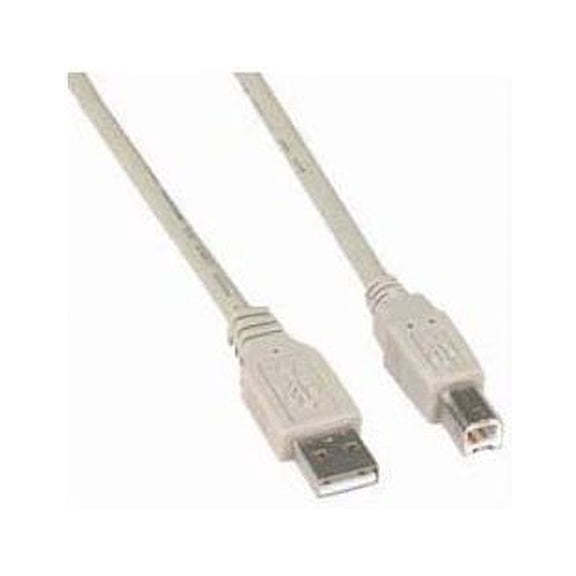 10ft USB 2.0 Certified 480Mbps Type A Male to B Male Beige Cable