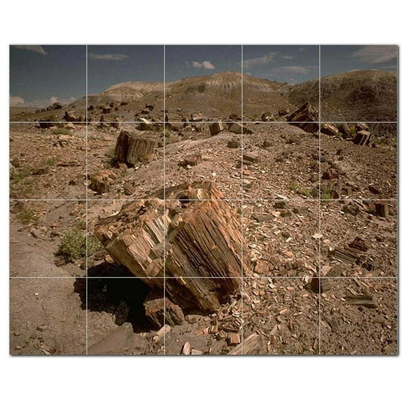 Deserts Npsh Ceramic Tile Mural Kitchen Backsplash Bathroom Shower, 404688-XL54