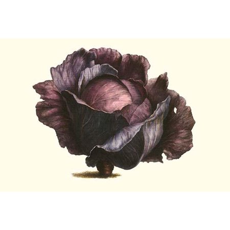 Catalogs For Home Decor French Country Illustration from a famous French seed catalog and the vegetables that can be grown Poster Print by Philippe-Victoire Levque de Vilmorin ()