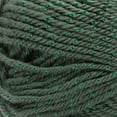 thumbnail image 2 of Caron Simply Soft Party Yarn-Dark Sage Sparkle, 2 of 2