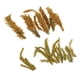 thumbnail image 5 of Largo De Dos Cajas Grupos De Vegetación Para Maquetas De Jardines De Trenes perfke arbusto micro paisaje, 5 of 9