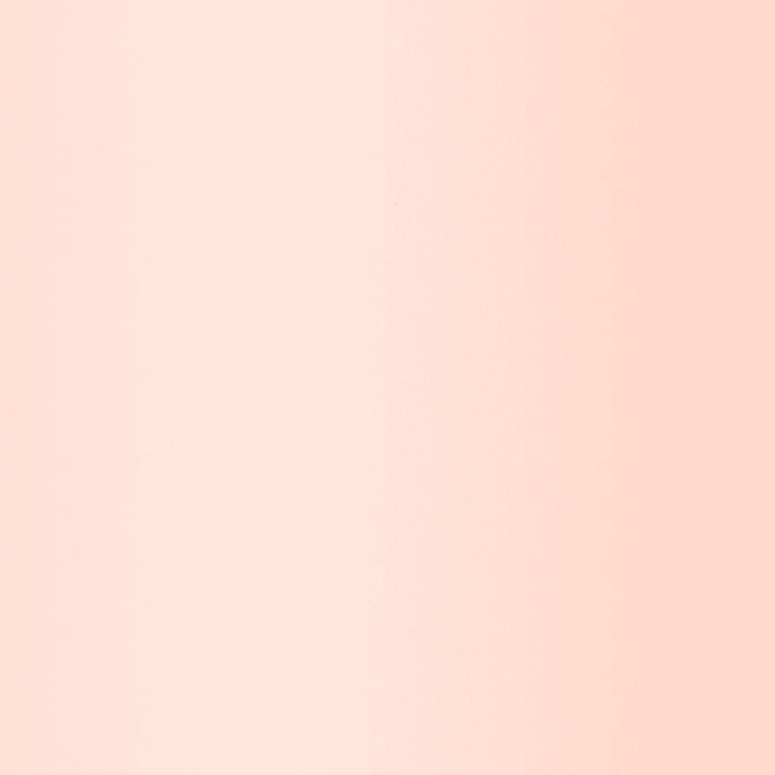 Ballet Slipper Pink