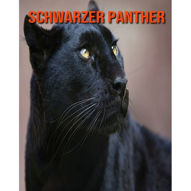 Schwarzer panther hd