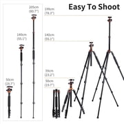 K&F CONCEPT 78 Professional Compact Aluminum Camera Tripod for DSLR Camera Photo, Lightweight Travel Tripod with 360 Degree Ball Head for Photography