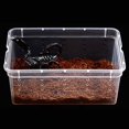 thumbnail image 4 of Professional Plastic Reptile Incubator Spider Frogs Lizard Container Hatching Terrariums Feeding Box Breeding Box(Black 1pcs), 4 of 5