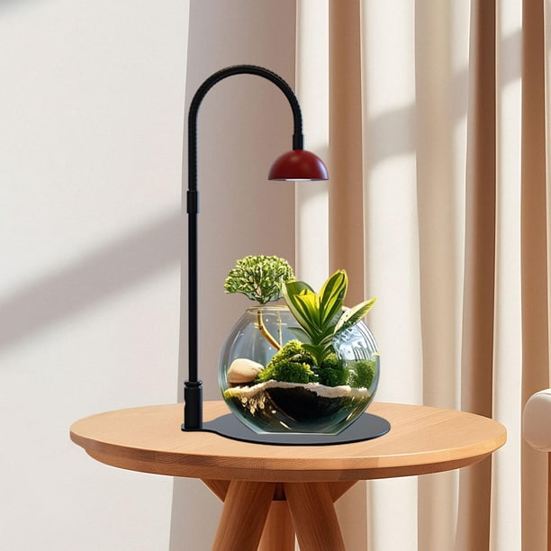 Lámpara para plantas de interior, lámpara para plantas, luz pequeña, lámpara para plantas de interior, luz para plantas de escritorio, oficina en casa