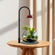 thumbnail image 1 of Lámpara para plantas de interior, lámpara para plantas, luz pequeña, lámpara para plantas de interior, luz para plantas de escritorio, oficina en casa, 1 of 8