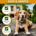 thumbnail image 4 of Dry Skin & Anti Itch Shampoo for Dogs | Oatmeal Dog Shampoo | Natural Dog Shampoo Itchy Skin Relief | Hypoallergenic Dog Shampoo for Pets | Anti Dandruff Treatment for Dogs, Suitable for All Pets, 4 of 7