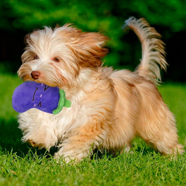 Mini Me Squeaky Breed Dog Toy: Yorkie