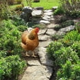 thumbnail image 4 of Adorno decorativo de estaca de jardín perfecl pollo acrílico 315 cm x 174 cm, 4 of 8