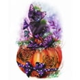 thumbnail image 3 of Kitty and the Magic Pumpkin 20x24 Black Modern Framed Museum Art Print Titled - Sheena Pike Art And Illustration, 3 of 5