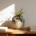 thumbnail image 4 of Cement Animal Planter 5.51X5.11X5.11 Inch Frog Turtle Design Sturdy for Terrace Garden Small Succulent, 4 of 4