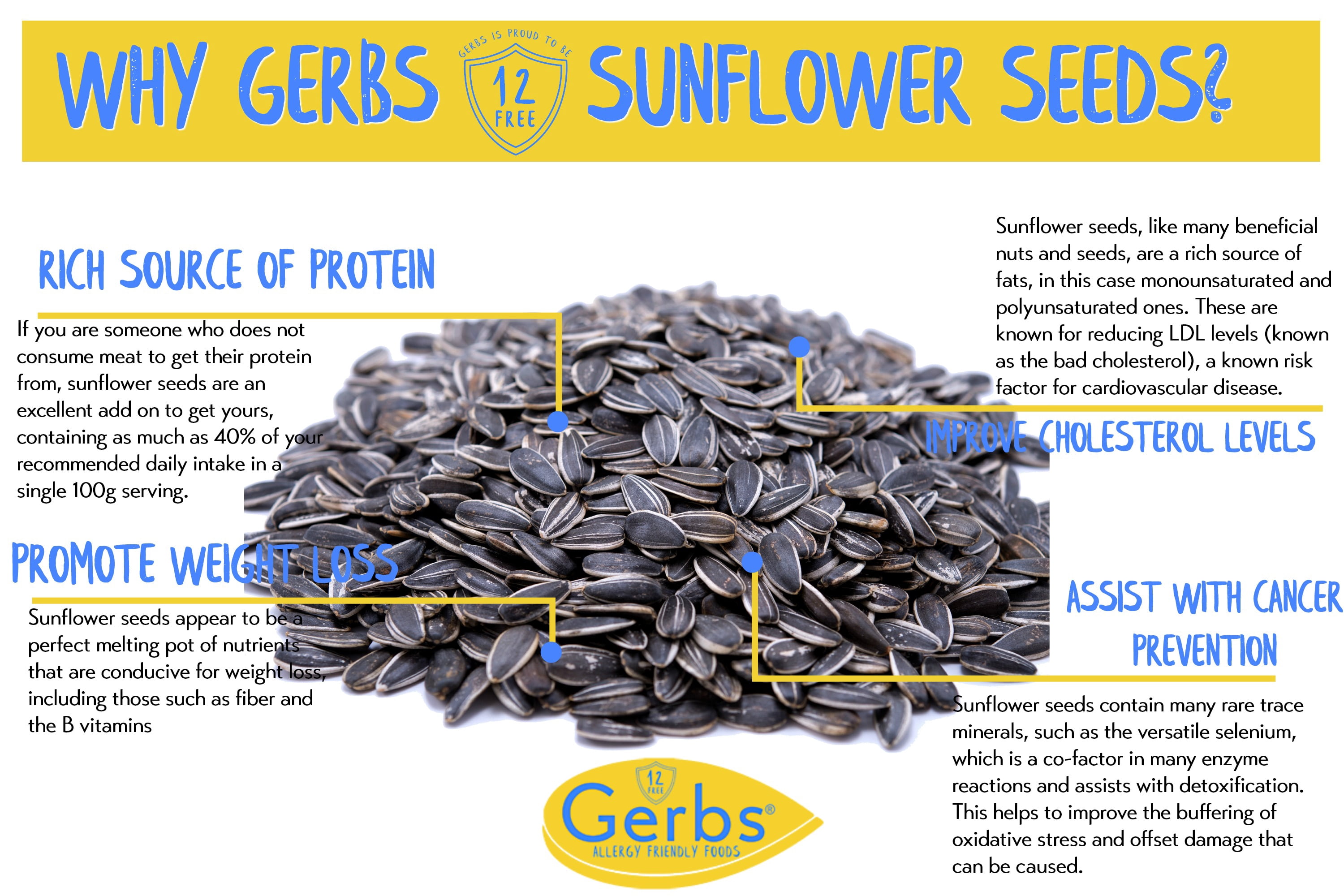 Unsalted Sunflower Seeds In Shell by Gerbs - 2 LBS - Top 14 Food Allergen Free & NON GMO - Dry Roasted