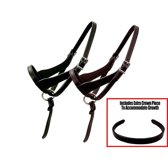 Grow With Me HorseHalter USA Leather