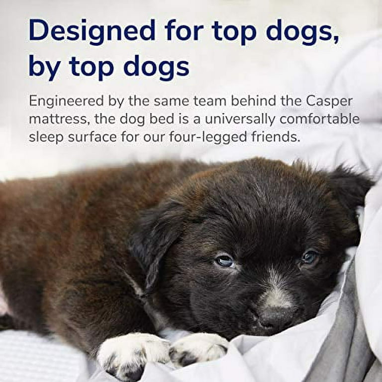 Casper Sleep Dog Bed Plush Memory Foam Small Gray Walmart