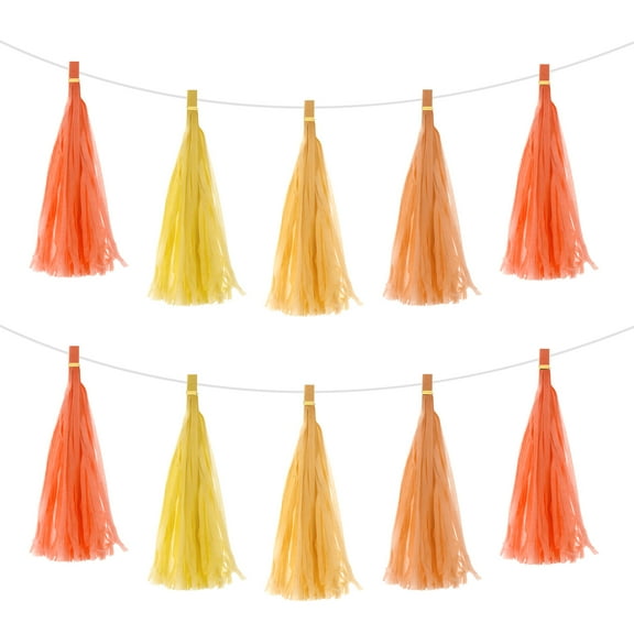 20Pcs 4 Colors Tassel Garland Banner w Rope for Wedding Birthday Party Decoration