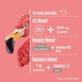 thumbnail image 4 of Suplemento alimenticio Birdman Fitmingo vainilla 510 g, 4 of 4
