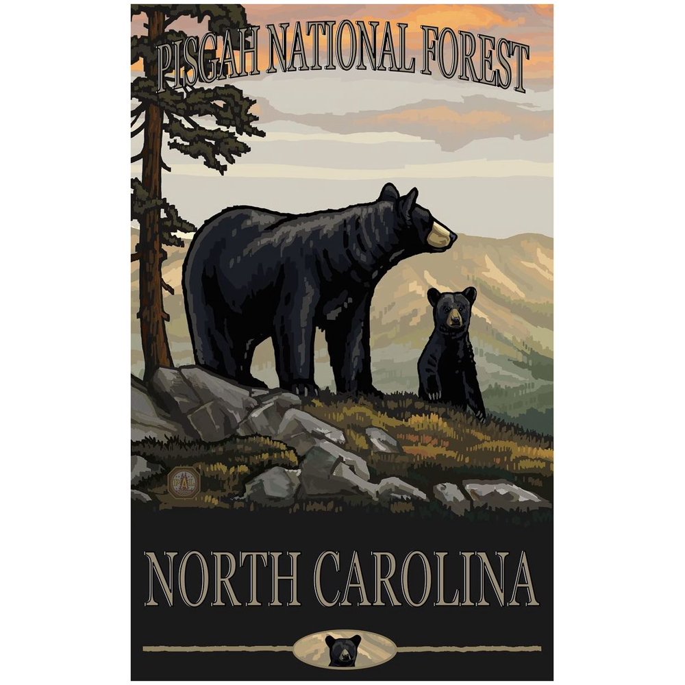 Pisgah National Forest North Carolina Black Bear Family Giclee Art