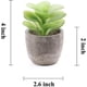 thumbnail image 5 of Black 6 uds plantas suculentas decorativas plantas suculentas artificiales en maceta Cactus falso con macetas grises planta topiaria Artificial en maceta, 5 of 5