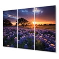 thumbnail image 2 of Designart "Sunrise Blue Bonnets landscape III" Blue Bonnets Metal Wall Art Set, 2 of 5