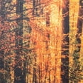 thumbnail image 3 of Yosemite Home Decor "The Road Traveled" Glass Photographic Art in Multi-Color, 3 of 3