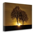 thumbnail image 2 of Tangletown Fine Art 'A New Beginning' Photographic Print on Wrapped Canvas, 2 of 2