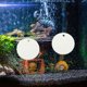 thumbnail image 4 of OUNONA Acrílico Con Para Acuario Diseñado Para Habilidad Y Salud De Betta, 4 of 8