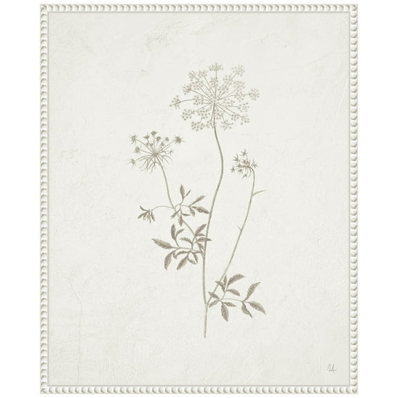 Amanti Art Plants from the Meadow III Framed Canvas Wall Art Print