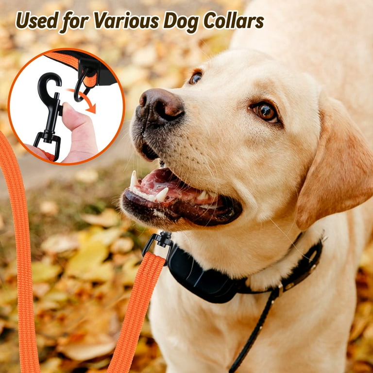 Dog tracking outlet lead